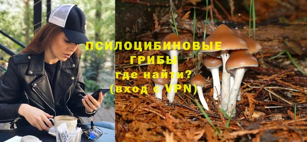 дмт Верея