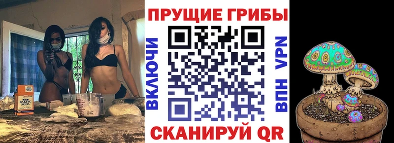 Галлюциногенные грибы прущие грибы Томск